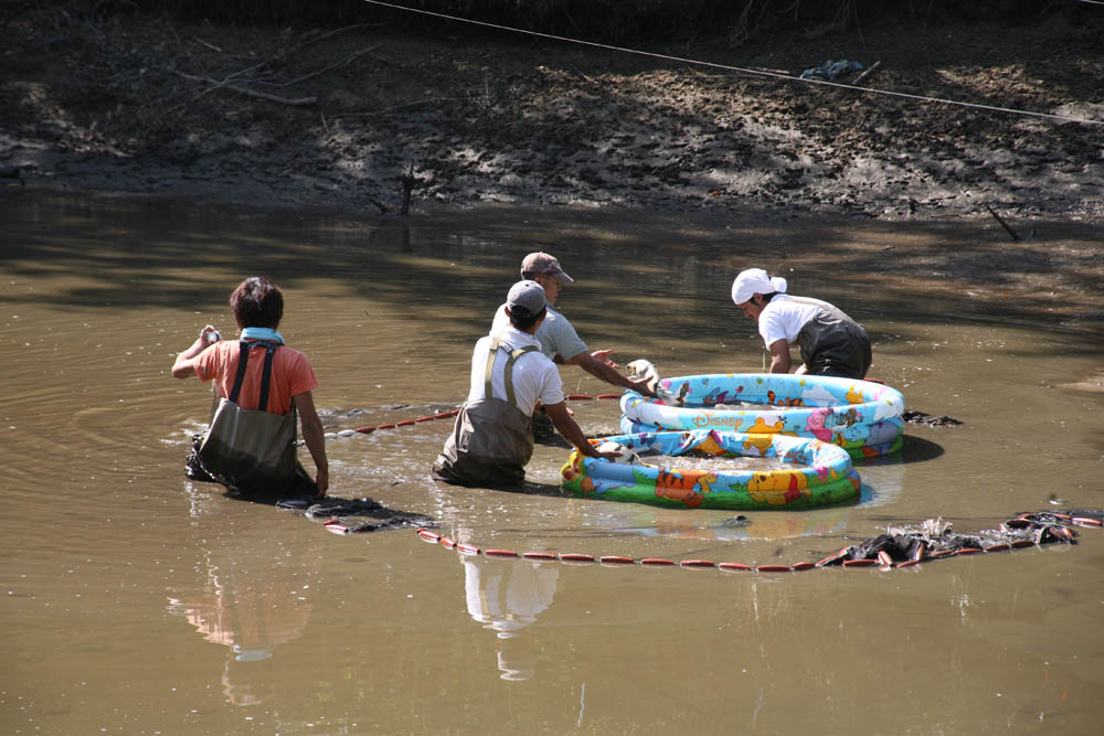 Omosako Mud Pond