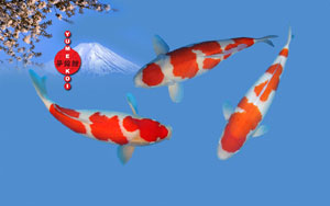 Kohaku