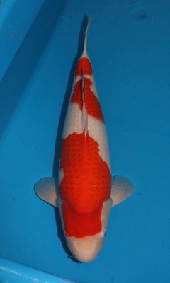 027A4567